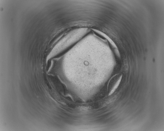 X0000065260255200603131210