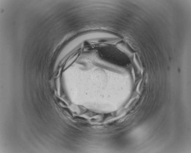 X0000065260256200603131210