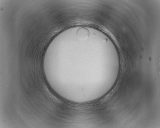 X0000065260257200603131210