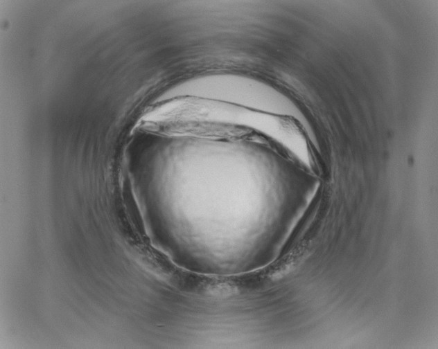 X0000065260258200603131210