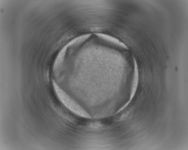 X0000065260262200603131210