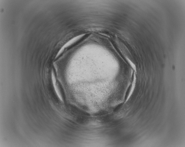 X0000065260263200603131210