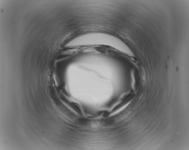 X0000065260264200603131210