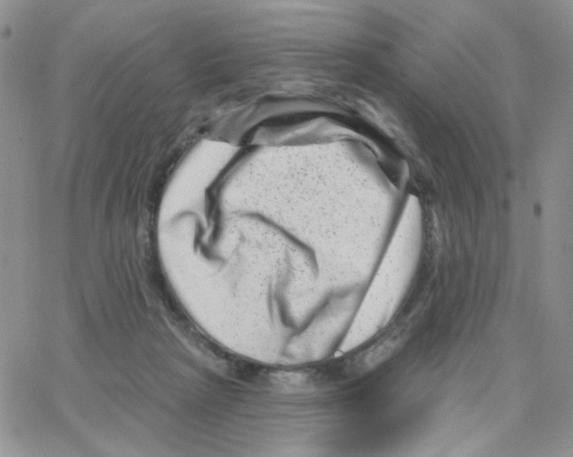 X0000065260265200603131210