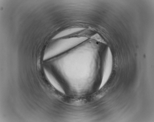 X0000065260267200603131210