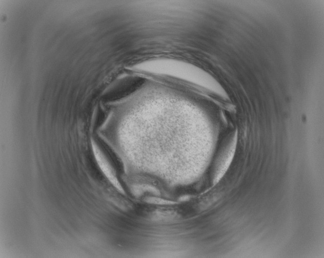 X0000065260270200603131210