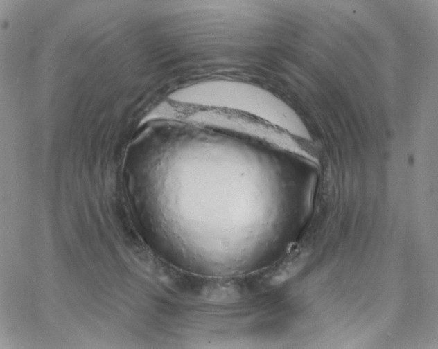 X0000065260271200603131210