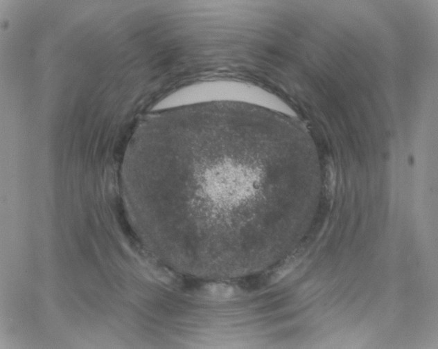 X0000065260272200603131210