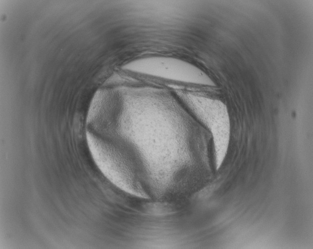 X0000065260273200603131210