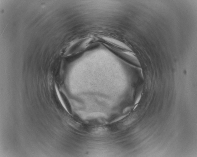 X0000065260274200603131210