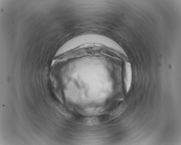 X0000065260275200603131210