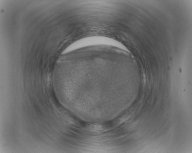 X0000065260276200603131210