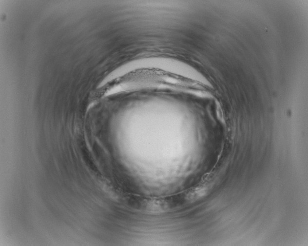 X0000065260277200603131210