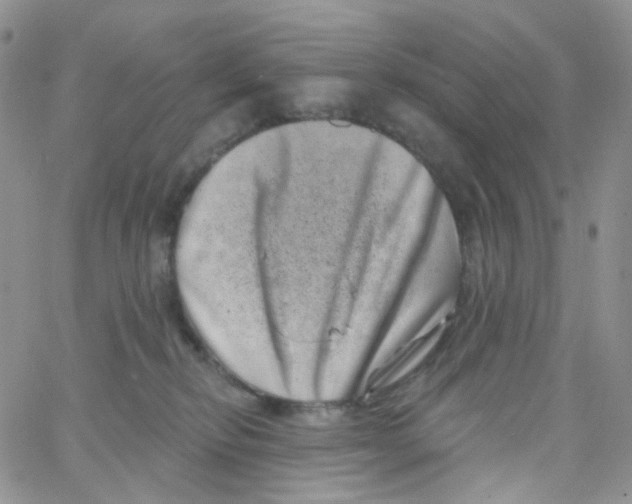 X0000065260278200603131210