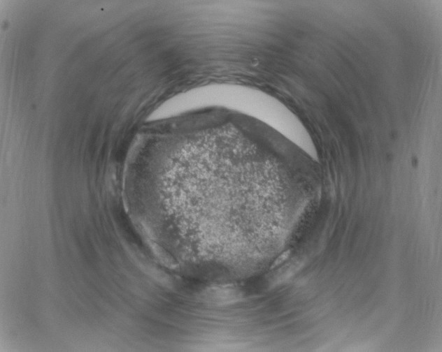 X0000065260280200603131210