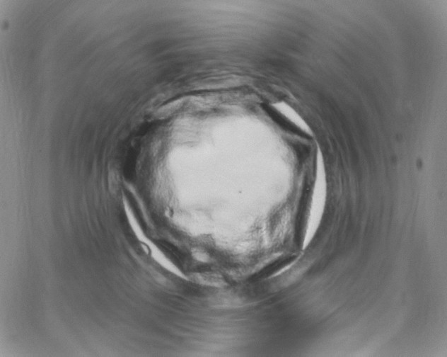 X0000065260281200603131210