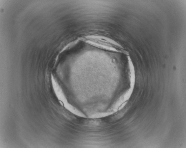 X0000065260282200603131210