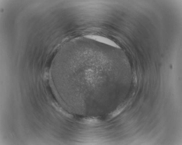 X0000065260284200603131210