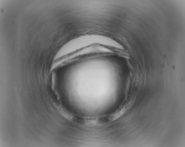 X0000065260285200603131210