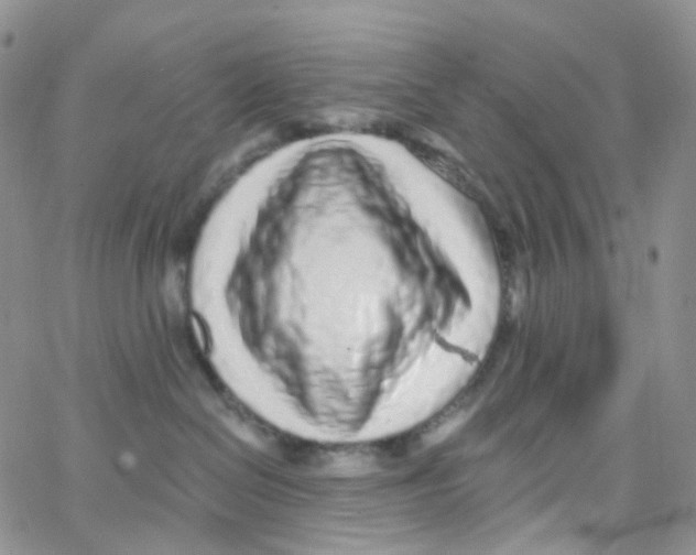 X0000065260286200603131210