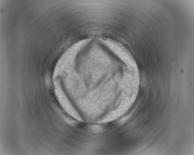 X0000065260287200603131210