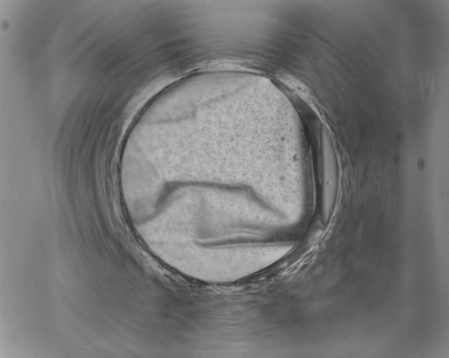 X0000065260289200603131209