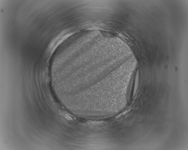 X0000065260291200603131209