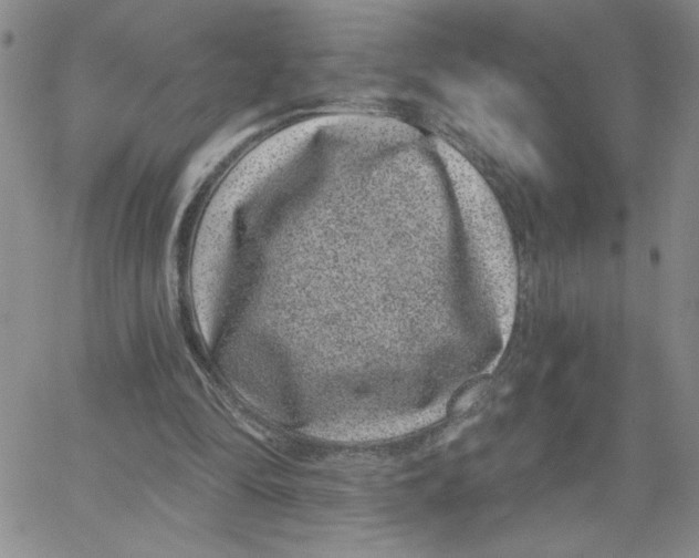 X0000065260294200603131209