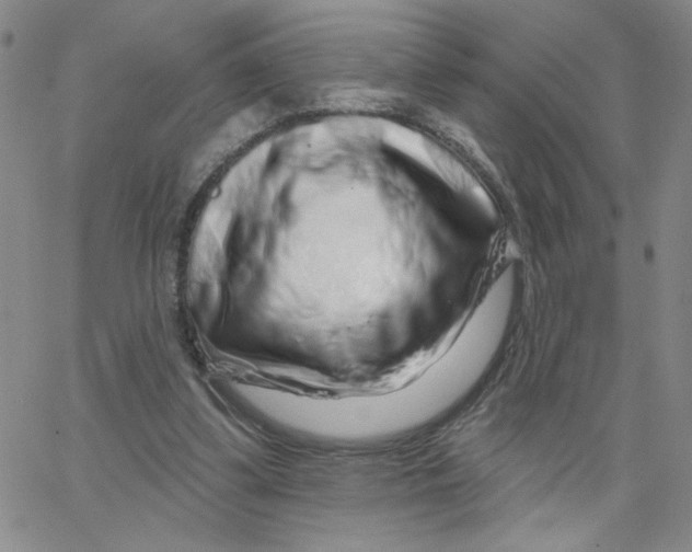 X0000065260299200603131209