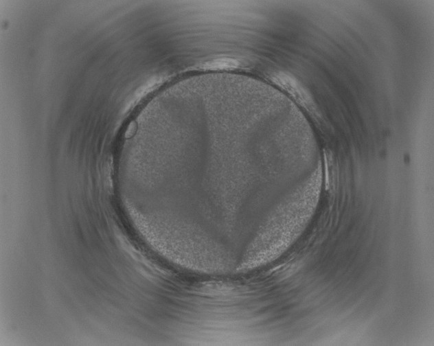 X0000065260300200603131209