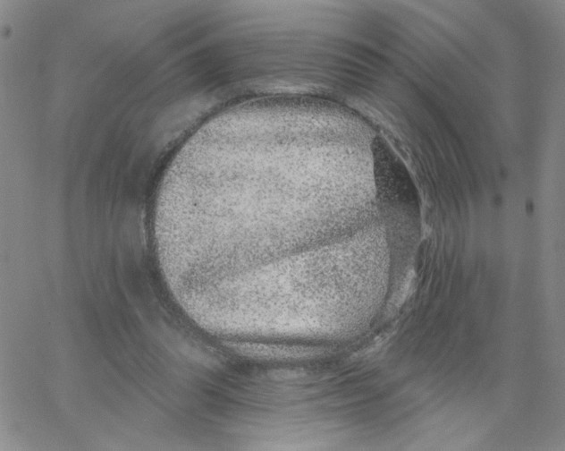 X0000065260302200603131209