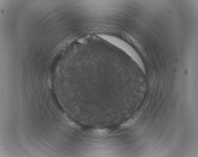 X0000065260313200603131209