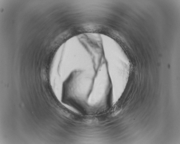 X0000065260317200603131209