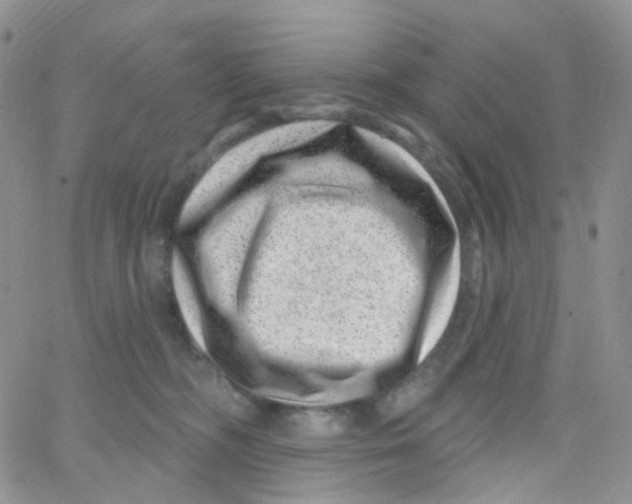 X0000065260326200603131209