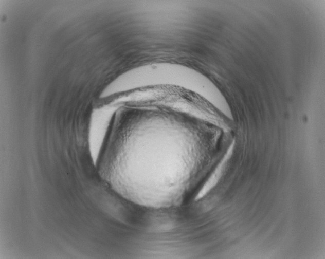 X0000065260331200603131209