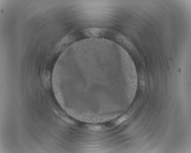 X0000065260332200603131209