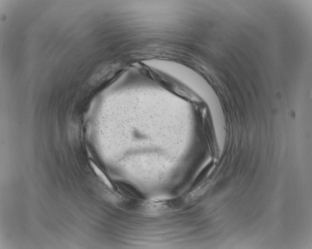 X0000065260333200603131209