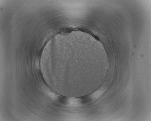 X0000065260336200603131209