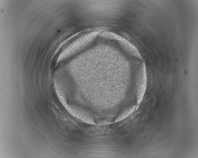 X0000065260338200603131208