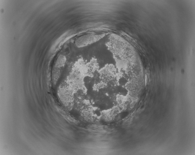 X0000065260339200603131208