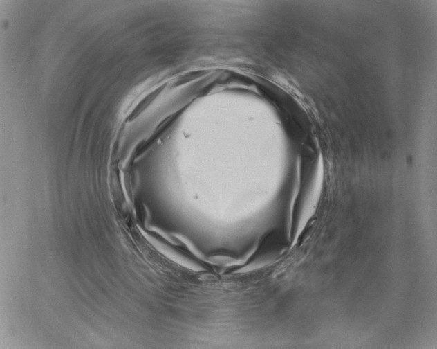 X0000065260340200603131208