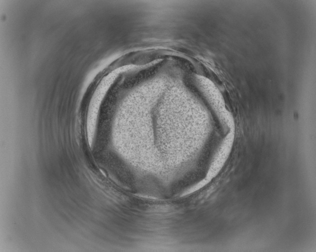 X0000065260342200603131208