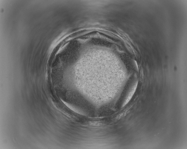 X0000065260344200603131208