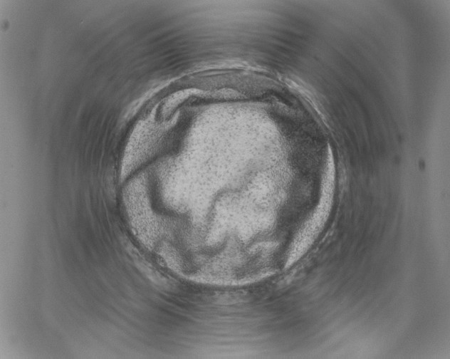 X0000065260345200603131208