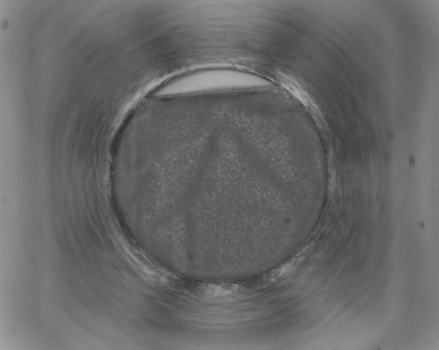 X0000065260346200603131208