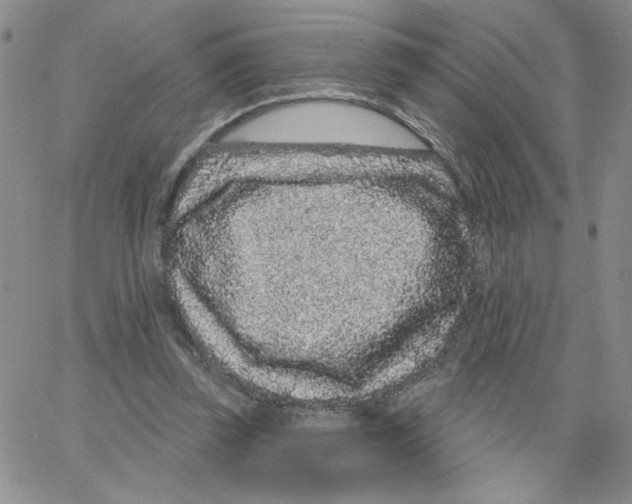 X0000065260347200603131208