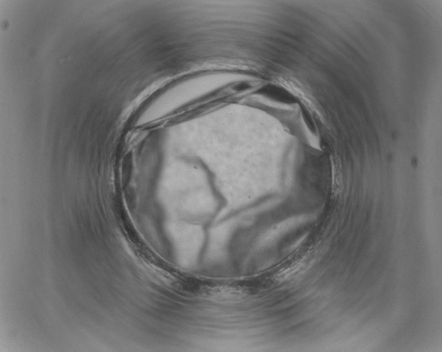 X0000065260348200603131208