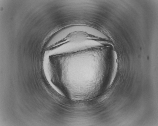 X0000065260349200603131208