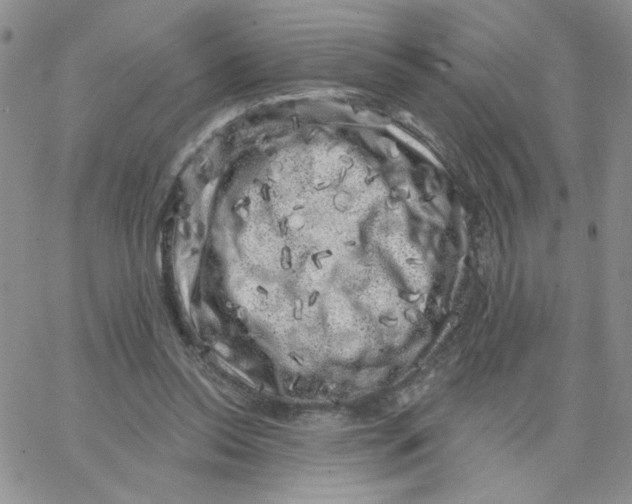 X0000065260350200603131208