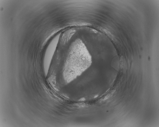 X0000065260351200603131208